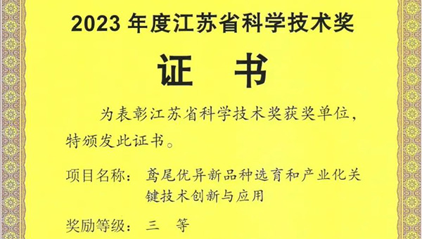 尊龙凯时[苏州景物园林设计,苏州景物园林施工,苏州文物古建修缮,苏州香山制造,苏州园林设计,苏州景物园林设计,苏州园林制造,苏州景物园林制造,苏州古修建修复]
